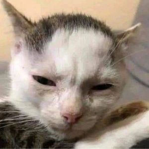 Meet your Posher, Tia